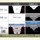 모터쿠마 이미지