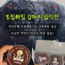 닥터온펫 | [닥터온펫 체험 후기] 식욕 살려주는 토핑해핑 강아지 습식캔 – 기호성·건강·편리함까지 완벽!