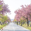 미사경정공원 이미지