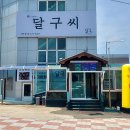 달구씨 이미지