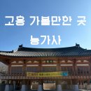 평지 | 고흥 능가사 방문 후기 | 평지 사찰이라 아이와 가기 좋은 고흥 여행 가볼 만한 곳