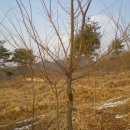 느티나무2농장 이미지