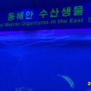 기장수산 이미지