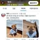 남자인데 모유가 나온다는 웹툰작가 박지 이미지