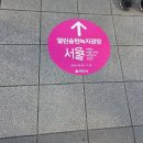 2025 서울도시건축비엔날레 송현열린광장 전시 사전 투어 후기 및 서울 무료 전시회 정보