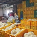 신흥1농장 이미지