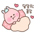 예스동물병원 이미지