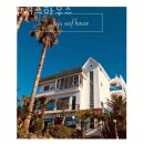 제주서프하우스 | 제주도게스트하우스 제주서프하우스 제주가볼만한곳 추천도 해줘요!