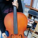 첼로 초급(성인) 이미지