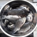 믿음건강원 이미지