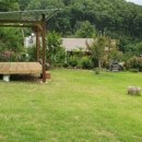 계림꽃농원 이미지