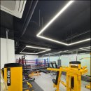 SY 주짓수&복싱 이미지