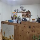 인우카센타 이미지