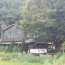 농월초계탕 이미지