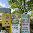 영암휴게실 | 아기랑 해남 공룡대축제 다녀온 현실 후기🦖 주차·점심·버블쇼·유아휴게실·고향사랑기부 꿀팁 총정리!
