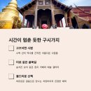 코끼리오락실 이미지