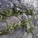 노을농장 이미지