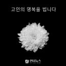 동해광희중고등학교 이미지