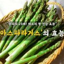 양파의 25배! 치솟는 "혈당"잡는 채소의 왕 이미지