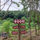 용골농원 이미지