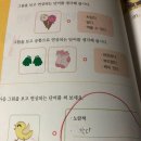 치킨좋아 - 안양시 동안구 관평로 227 | 치킨좋아