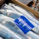 제주은갈치 이미지