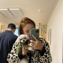 80상참치 이미지