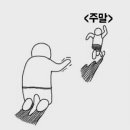 천일냉동