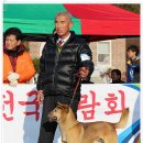 비상초등학교 이미지