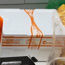 옹고집 | 여수갓김치 옹고집싱싱식품 갓김치 후기