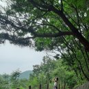 거창 항노화 힐링랜드 이미지