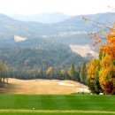 레이크사이드대중 이미지