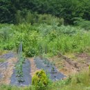 선임농장 이미지