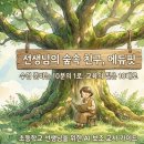 유튜브 제작 및 운영 기초반(1반) | 에듀핏(EduFit), 초등교사를 위한 완벽 활용 가이드 🎯