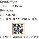 로스팅랩