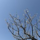 전남도립미술관 | "전남도립미술관" 침착맨 스승님 동양화 "김선두" 한국화가 수묵화 전시 후기,