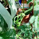 토토호프 이미지