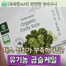 보령컨슈머헬스케어 주식회사 | 나이 들수록 챙기게 되는 채소, 간편하게 먹어본 곱슬케일 후기