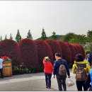 내고향 순천 이미지