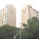 서현1동.우성아파트 이미지