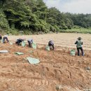 금계농장2 이미지