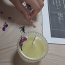 가을향기 가득 드라이플라워 캔들 | 미리 맞이하는 가을의 향기 -캔들 DIY