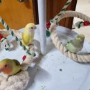 인천조류원 이미지