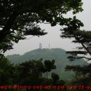 (주)도토리테크 | 청계산<화물터미널-옥녀봉-매봉-만경대-절고개-응봉-대공원>