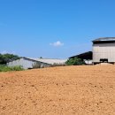 태양과바다 야영장 이미지