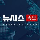 25.07.15 년 수익 채권 11% 소개. 세종시에 국회·대통령 집무실 둔다 '국가균형성장 설계도 구상 돌입, 서울 개 세종시 강의 이미지