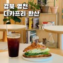 디카프리 완산 이미지