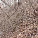 대이리농장 이미지