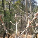 진보 행정사사무소 이미지