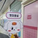도로시펫 미용실 이미지